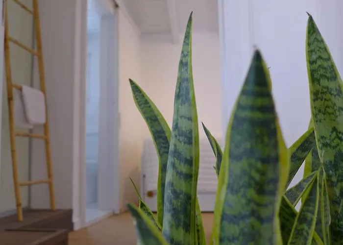 Holiday home Fos - Casa Casa Group Chania (Crete)